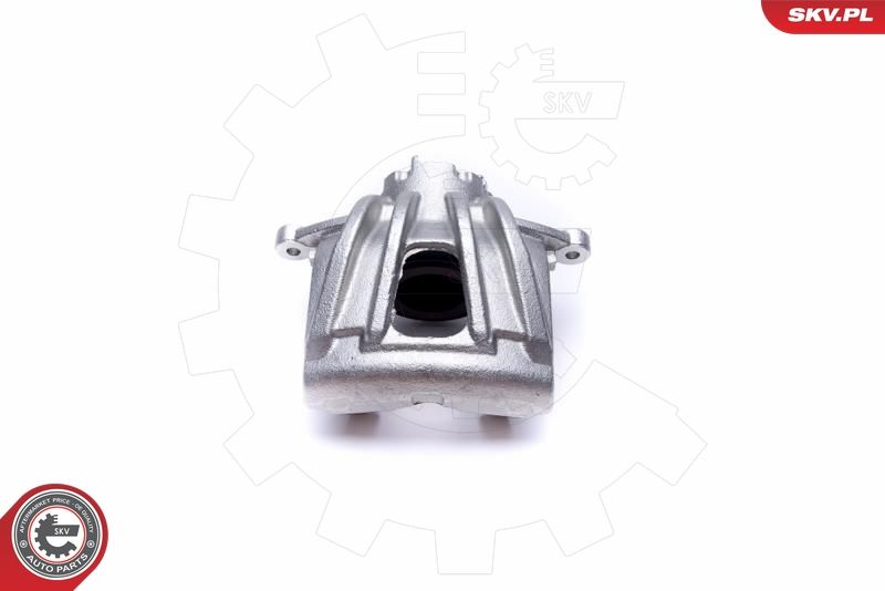 ESEN SKV 50SKV132 Brake Caliper