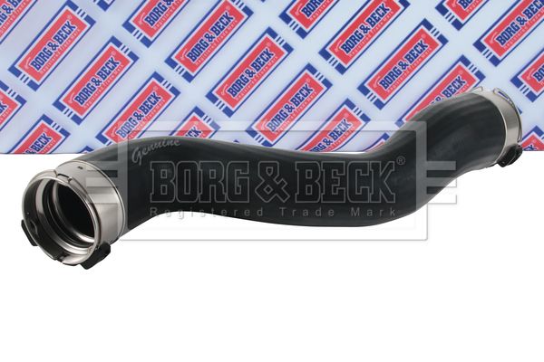BTH1690_5854787.JPG
