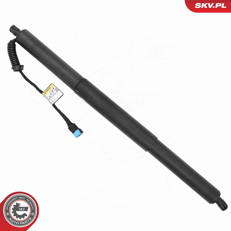 ESEN SKV 52SKV186 Electric Motor, tailgate