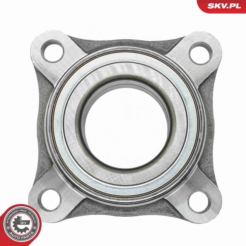 ESEN SKV 29SKV041 Wheel Bearing Kit