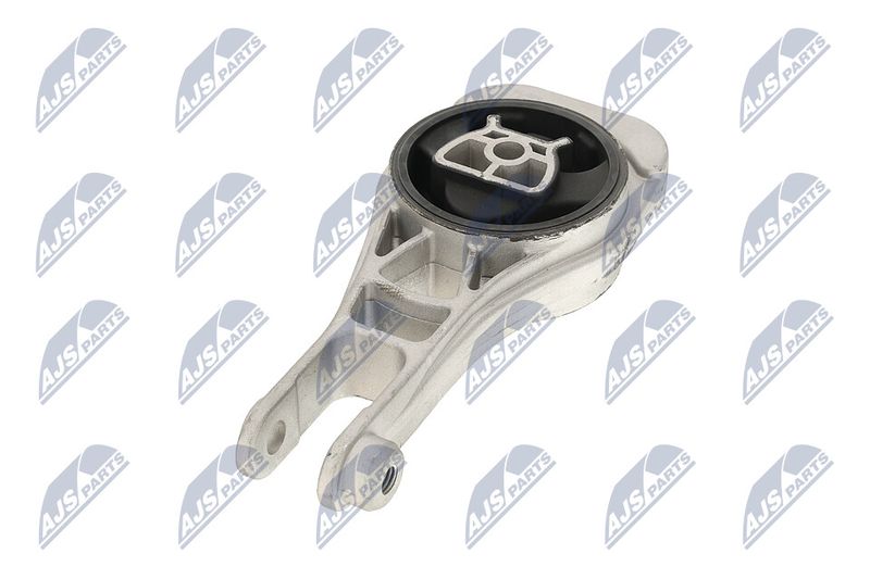 Paigutus, Mootor, NTY ZPS-PL-079