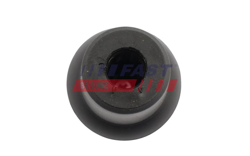 Käigukanginupp, FAST FT00455