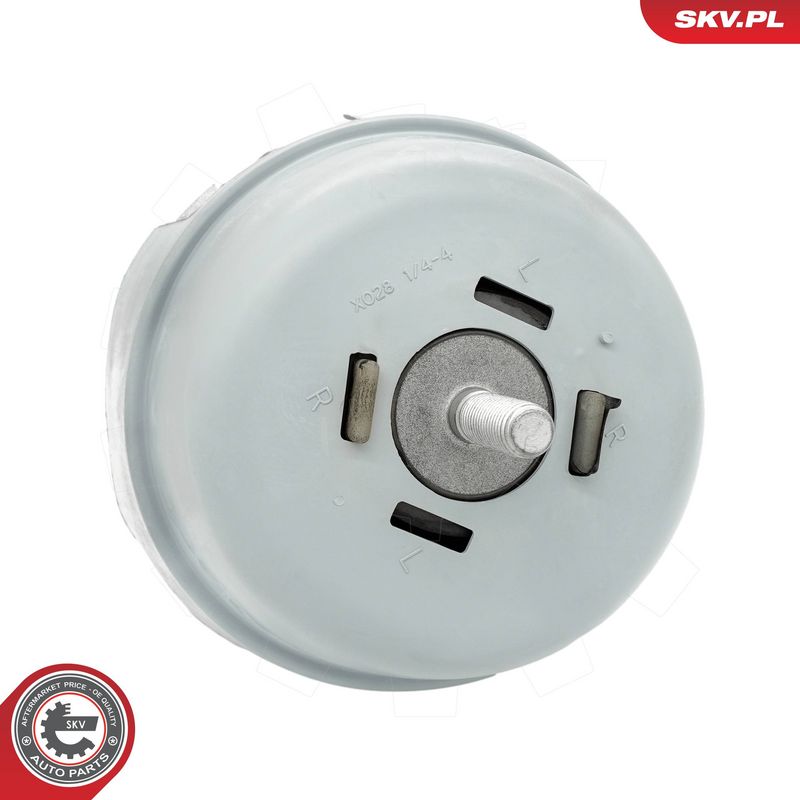 Paigutus, Mootor, ESEN SKV 75SKV295