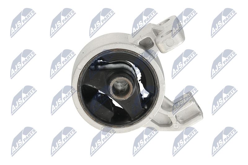 Paigutus, Mootor, NTY ZPS-KA-318