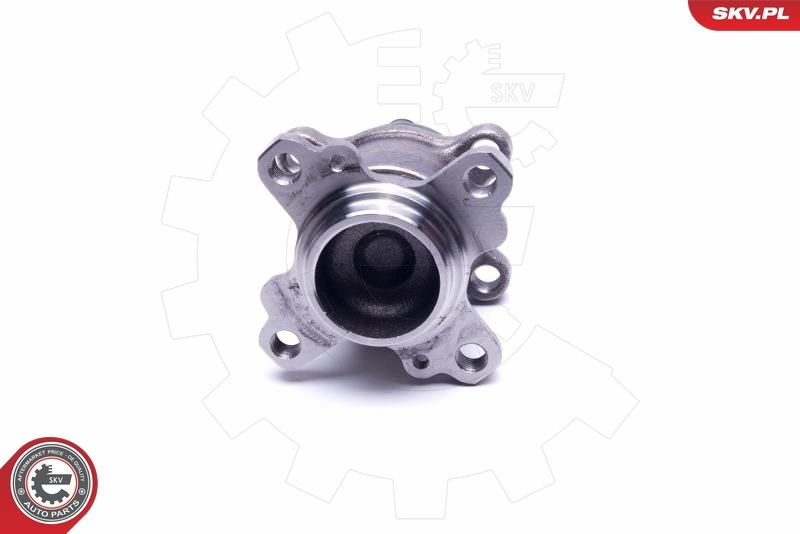 ESEN SKV 29SKV312 Wheel Bearing Kit