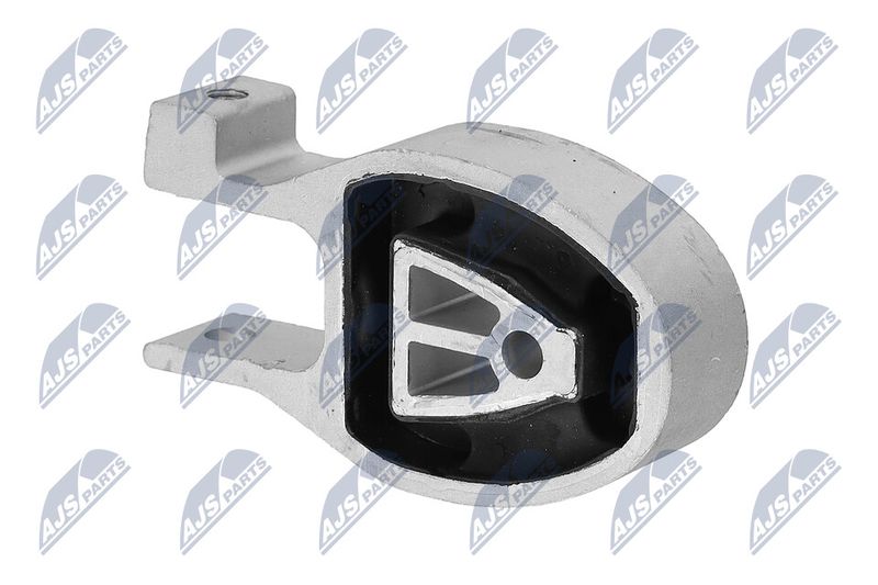 Paigutus, Mootor, NTY ZPS-FR-038