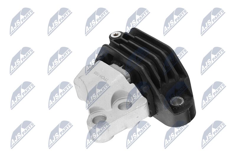 Paigutus, Mootor, NTY ZPS-CH-165