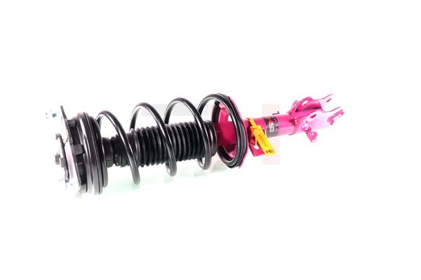 Vedruamort, GH GH-352298C01