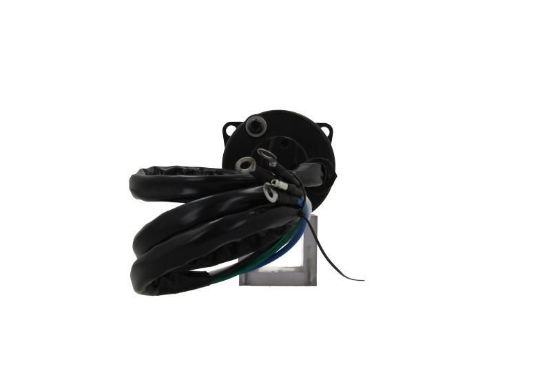 BV PSH 350.570.000.200 Electric Motor