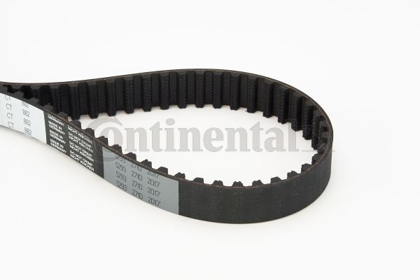 BELTPIC_CT882.JPG