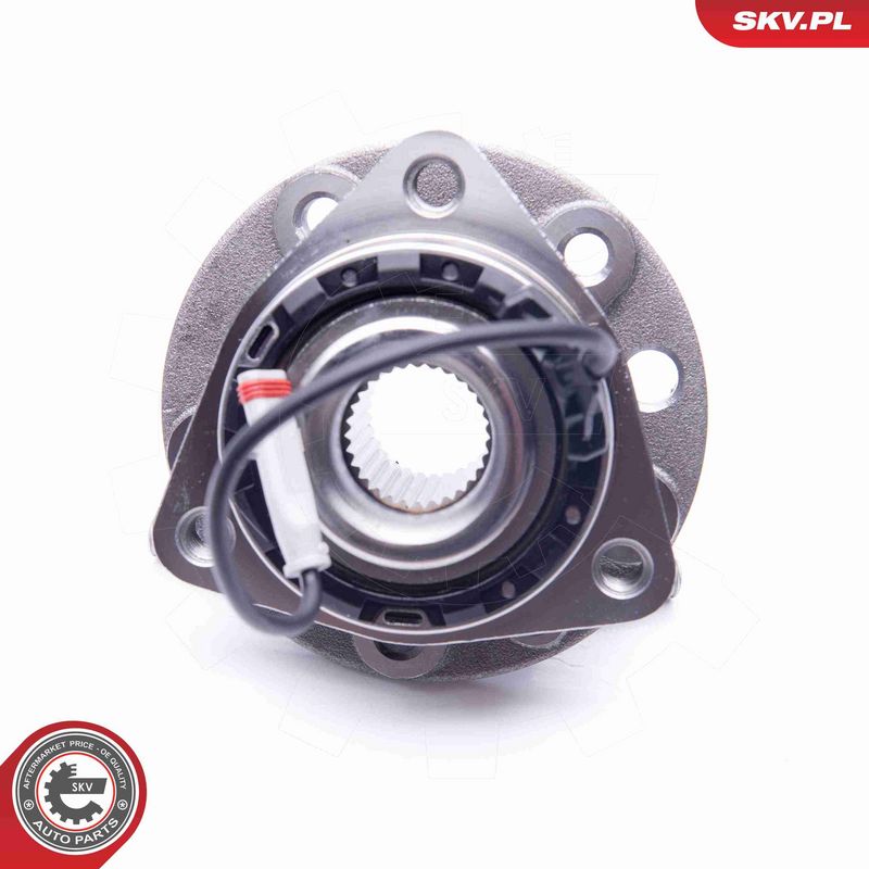 ESEN SKV 29SKV035 Wheel Bearing Kit