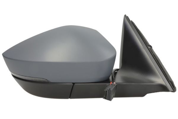 BLIC 5402-43-2355311P Exterior Mirror
