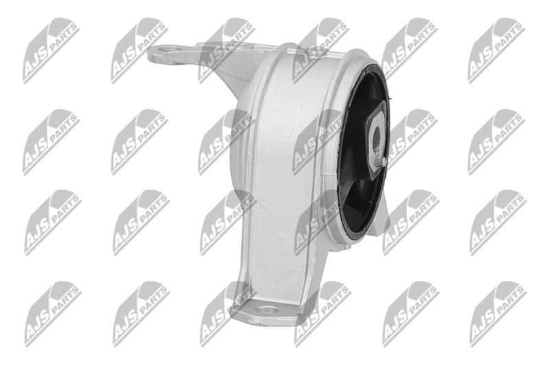 Paigutus, Mootor, NTY ZPS-PL-001