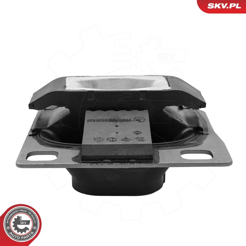 Paigutus, käigukast, ESEN...