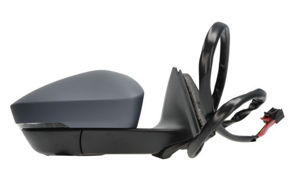 BLIC 5402-43-1319313P Exterior Mirror