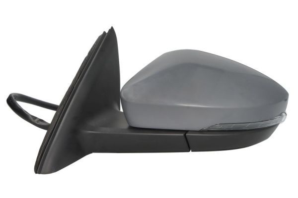 BLIC 5402-43-1923314P Exterior Mirror