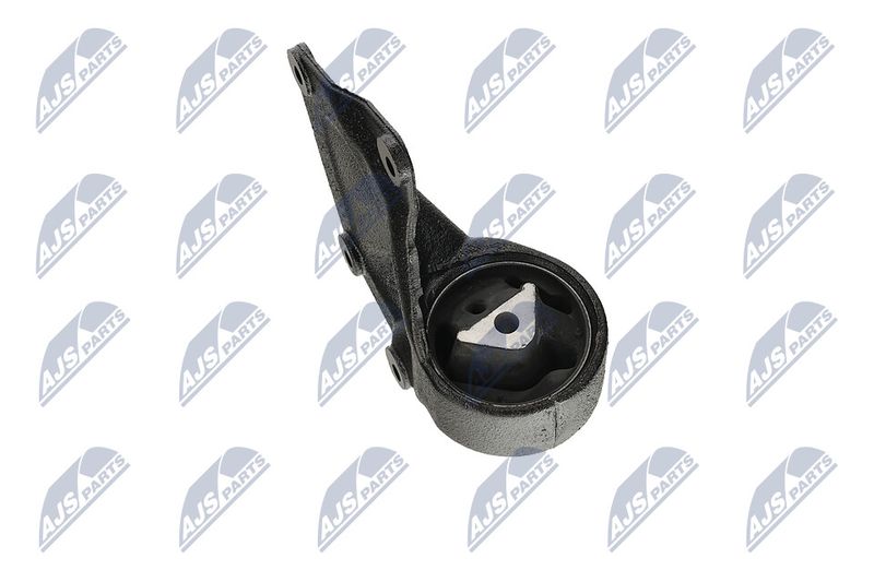 Paigutus, Mootor, NTY ZPS-CH-004