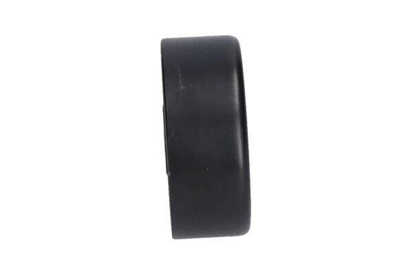 Kavo Parts DIP-10010 Poliklininio diržo kreipiamasis skriemulys