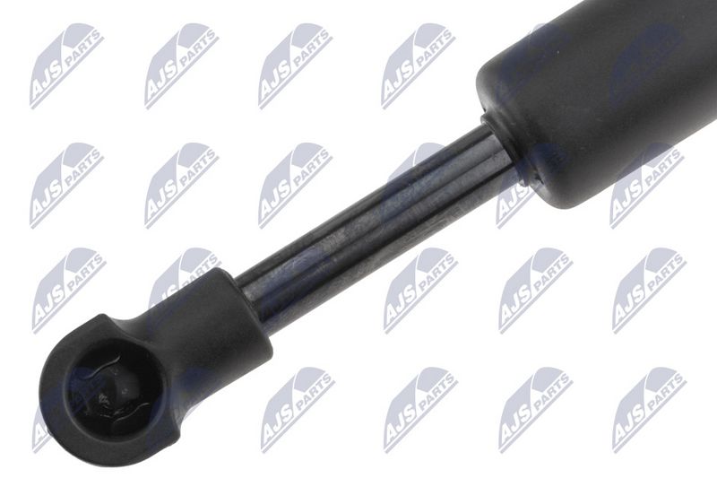 NTY AE-PS-010 Gas Spring, bonnet