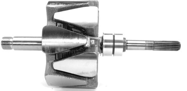 A-746.JPG
