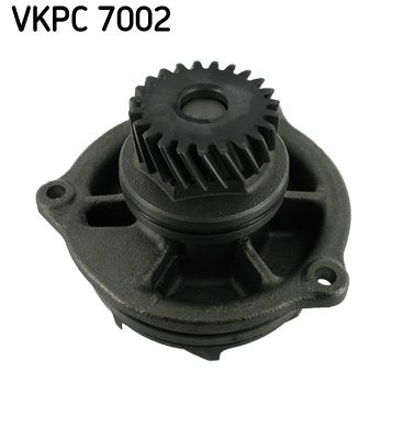 VKPC 7002.JPG