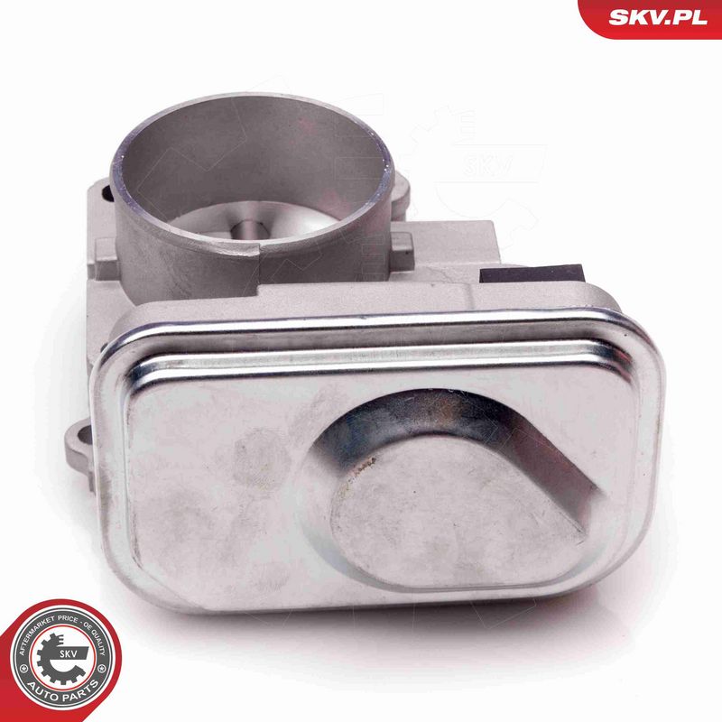 ESEN SKV 12SKV066 Throttle Body