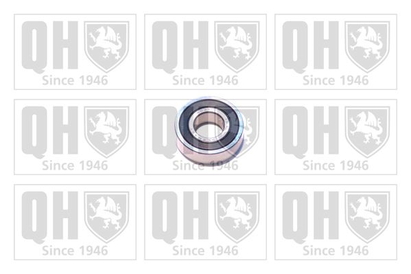 QH_XB9917.JPG