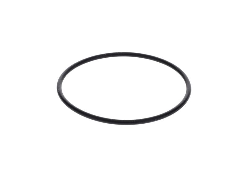 Inel de etansare 1 900 210 154 BOSCH