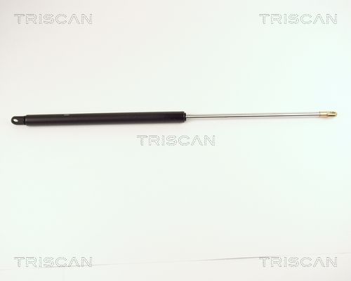 TRISCAN gázrugó, csomag-/poggyásztér 8710 2904