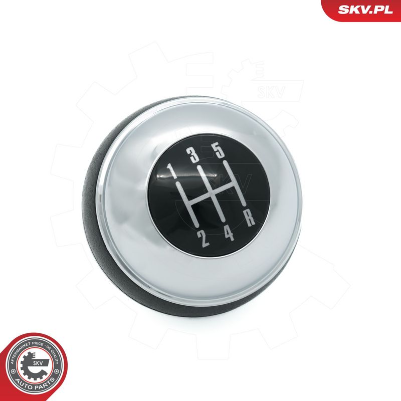 Käigukanginupp, ESEN SKV 63SKV071