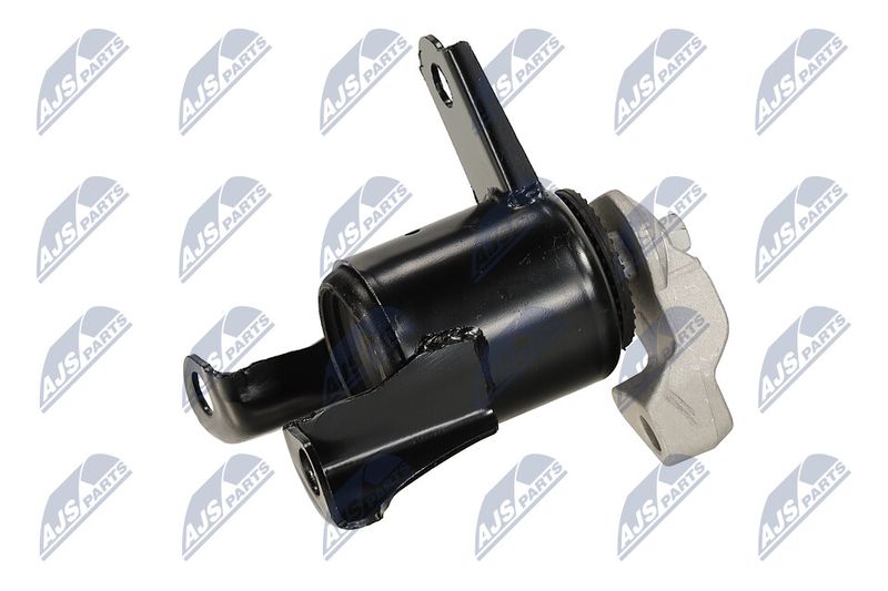 Paigutus, Mootor, NTY ZPS-FR-058