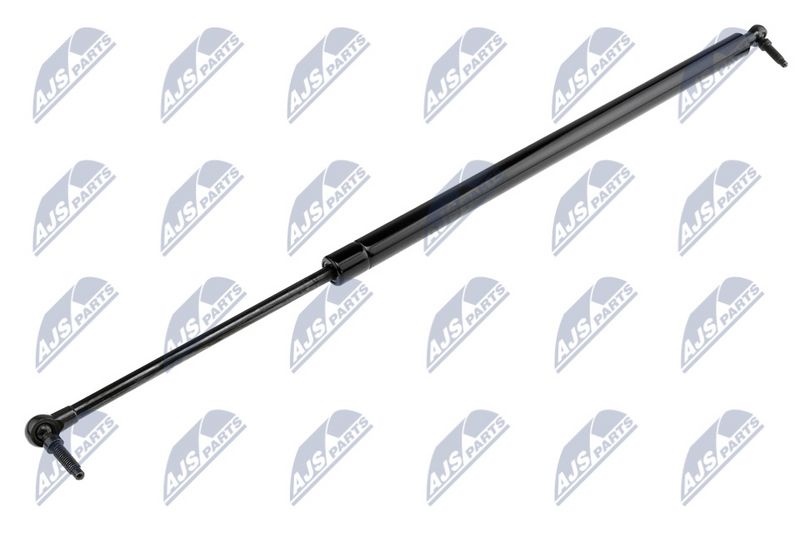 NTY AE-CH-006 Gas Spring, boot/cargo area
