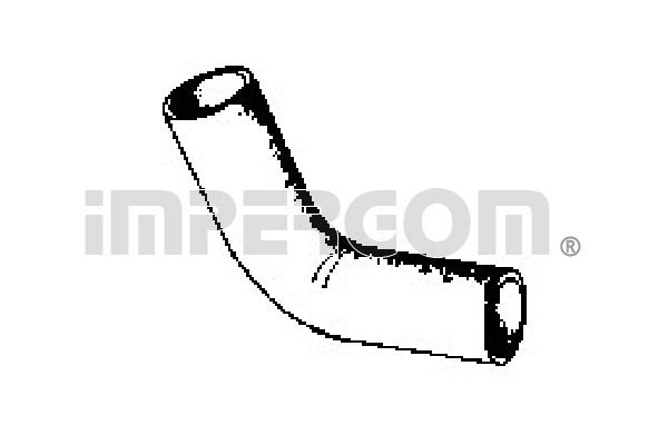 21667.JPG