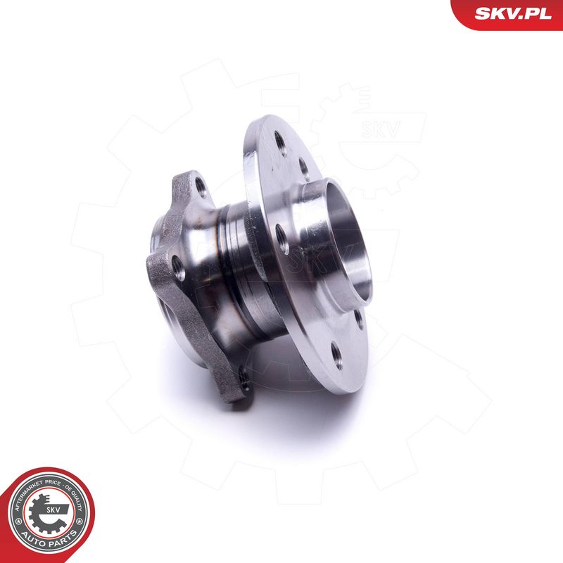 Rattalaagrikomplekt, ESEN SKV 29SKV317