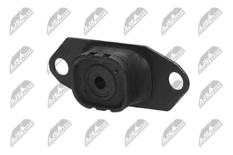 Paigutus, Mootor, NTY ZPS-NS-055