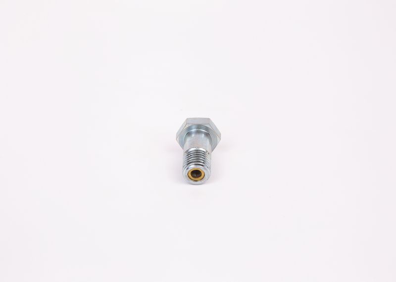 Surub 1 463 456 344 BOSCH