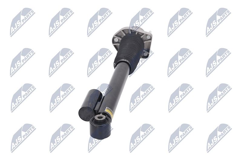 Amort, NTY A-LR-019