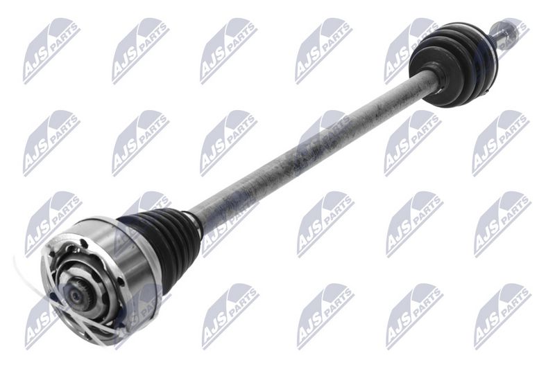 npw-vw-254_1-wm.JPG