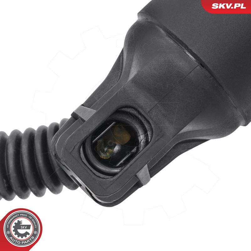 Elektrimootor, tagaluuk, ESEN SKV 52SKV293