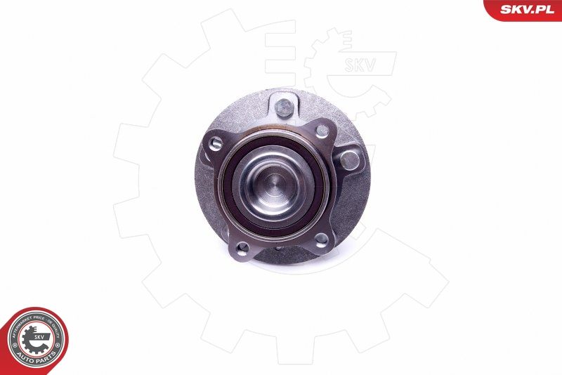 ESEN SKV 29SKV328 Wheel Bearing Kit