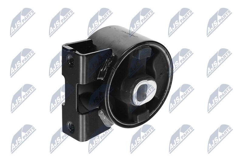 Paigutus, Mootor, NTY ZPS-CH-047