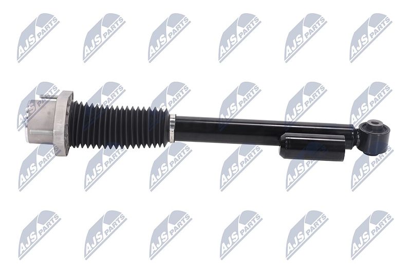 Amort, NTY A-LR-019