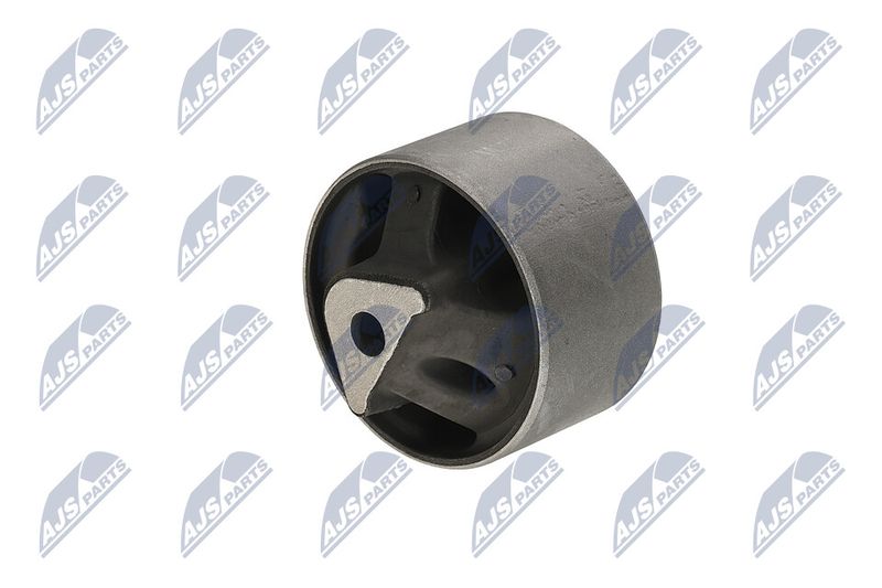 Paigutus, Mootor, NTY ZPS-CH-040