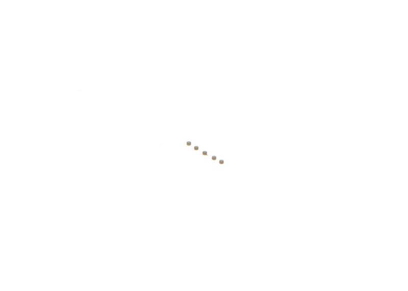 BOSCH F00ZC99755 Repair Kit, common rail system
