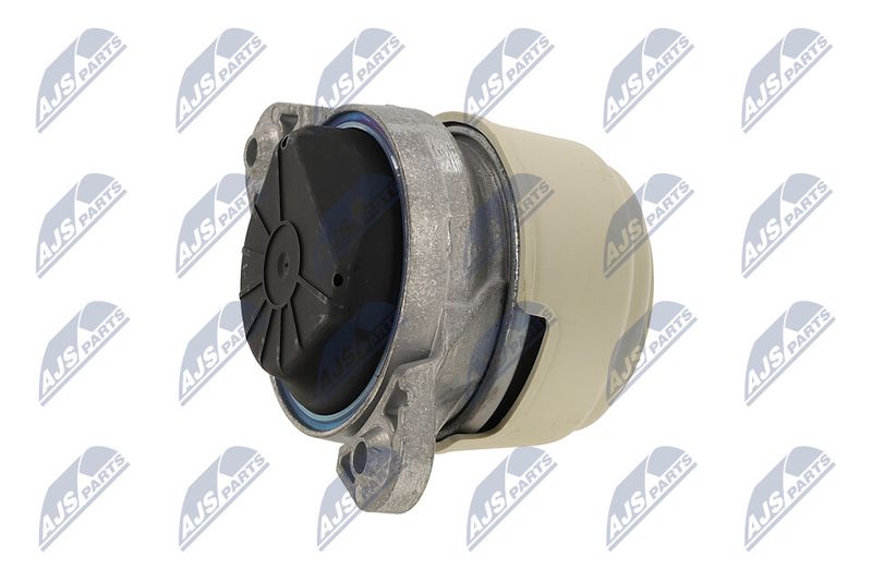 Paigutus, Mootor, NTY ZPS-ME-011