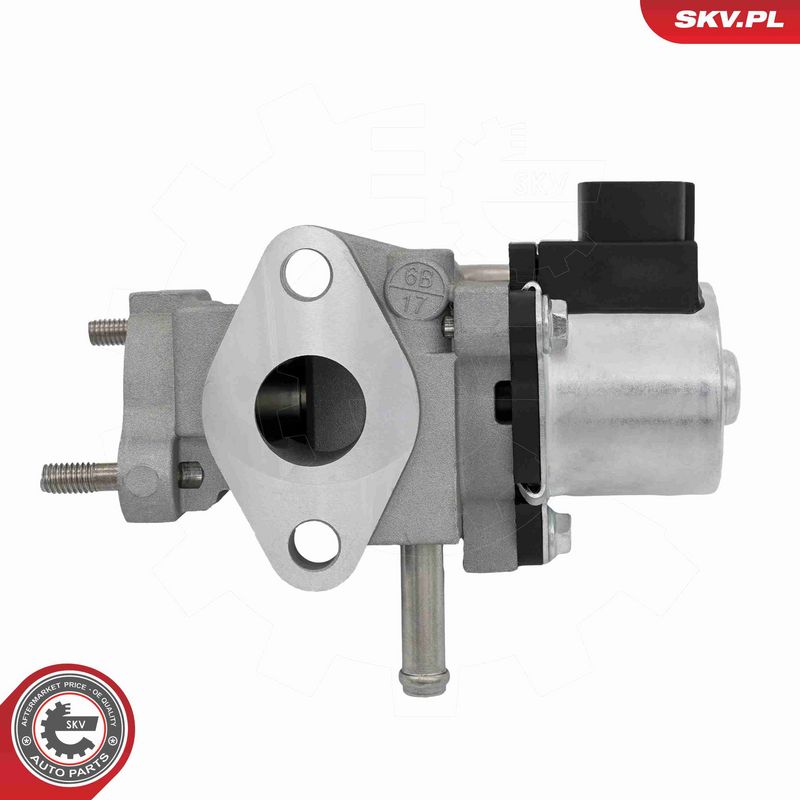 ESEN SKV 14SKV319 EGR Valve