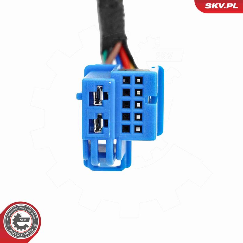 ESEN SKV 52SKV984 Electric Motor, tailgate