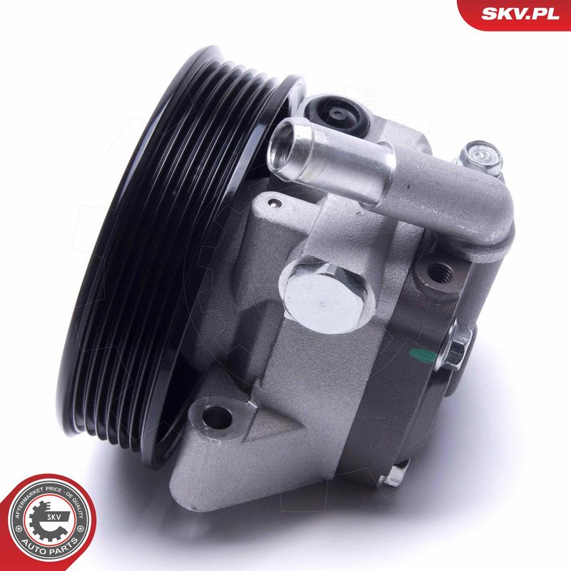 Hüdraulikapump, roolimine, ESEN SKV 10SKV309