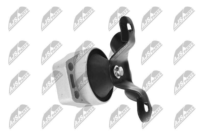 Paigutus, Mootor, NTY ZPS-FR-011