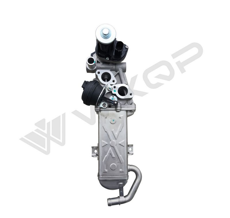 WXQP 381691 EGR Module